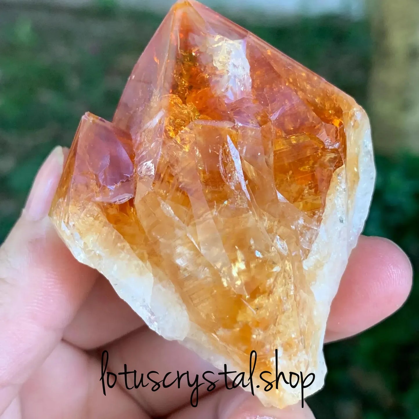 Ακατέργαστος Κιτρίνης (Raw Point) – Ευημερία, Θετική Ενέργεια & Ποιότητα 60-70g-Lotus Crystal