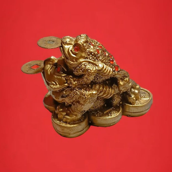 Frog with Coins Feng shui – The Guardian of Wealth &amp; Luck