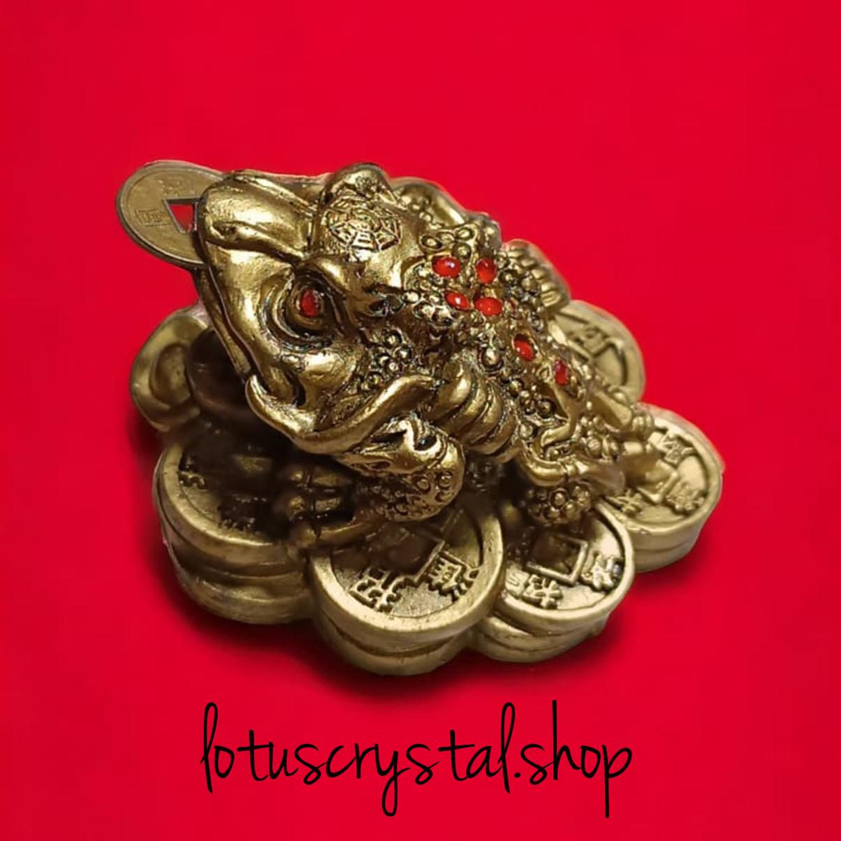 Frog with Coins Feng shui – The Guardian of Wealth &amp; Luck