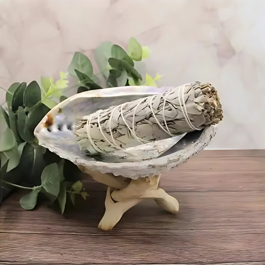Λευκό Φασκόμηλο- White Sage 10 cm