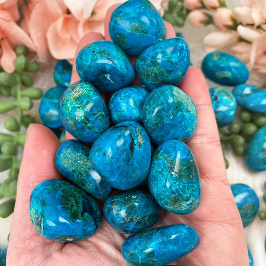 Natural Chrysocolla Pebble (Extra Large) 