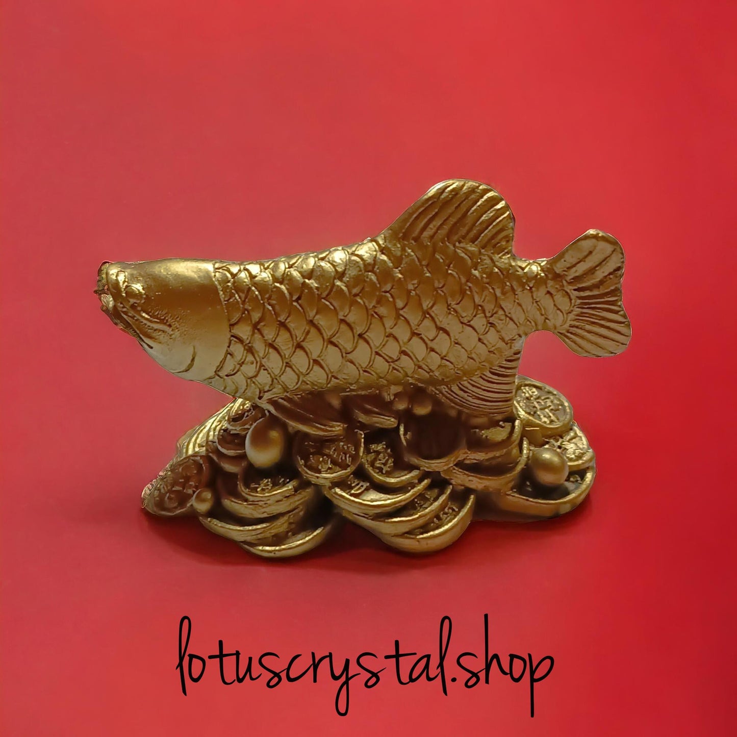 Frog with Coins Feng shui – The Guardian of Wealth &amp; Luck