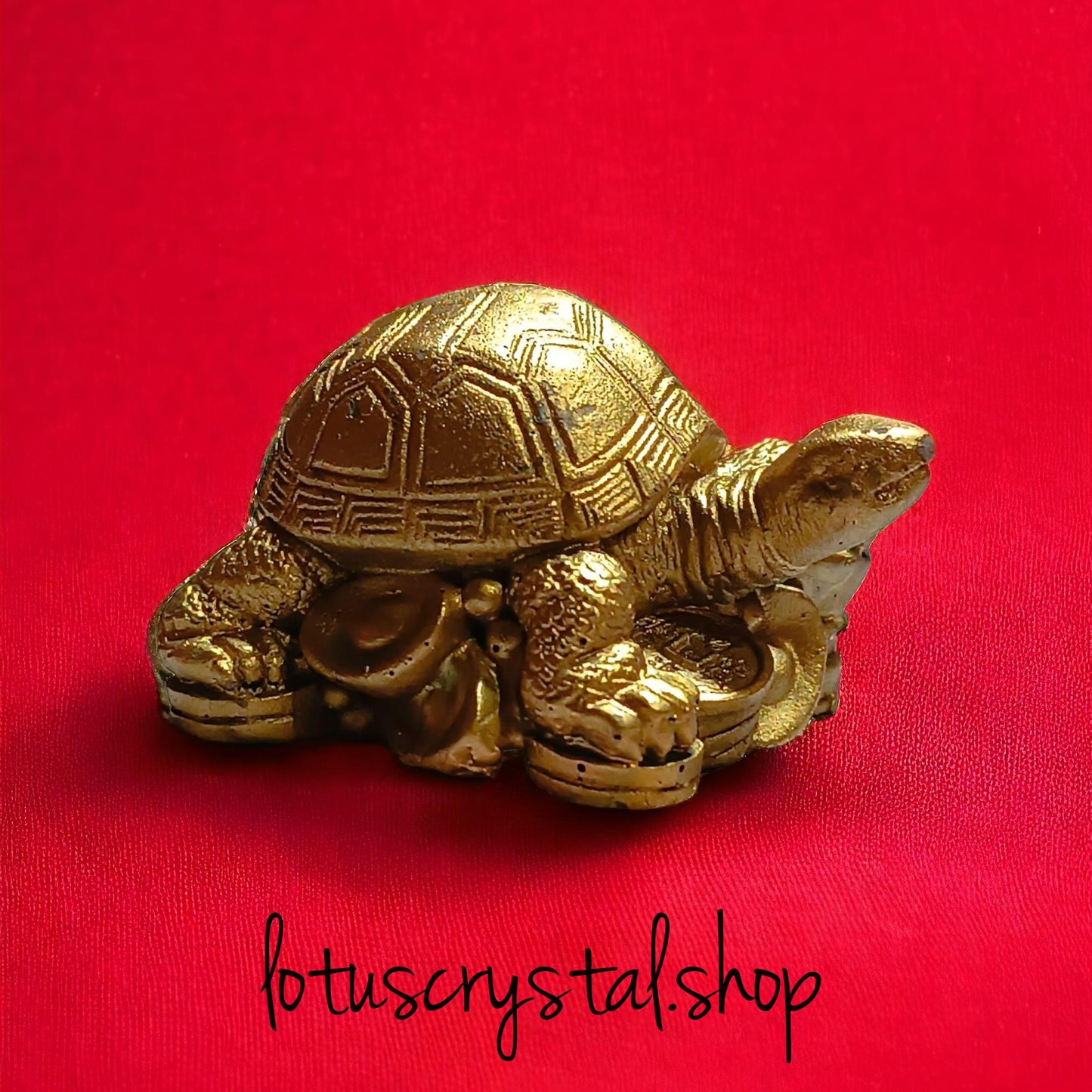 Frog with Coins Feng shui – The Guardian of Wealth &amp; Luck