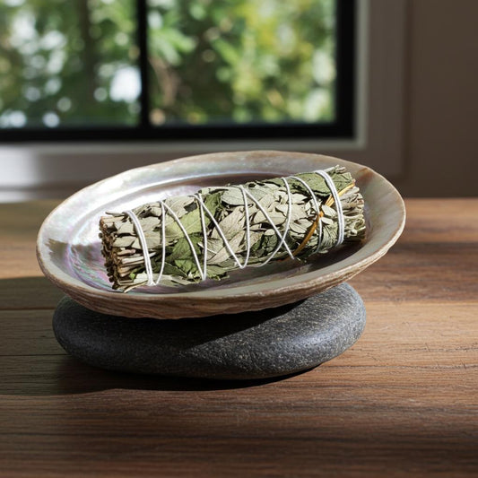 Wealth Sage 10 cm