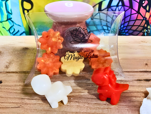 Wax Melts Πορτοκάλι Και Μπαχαρικά