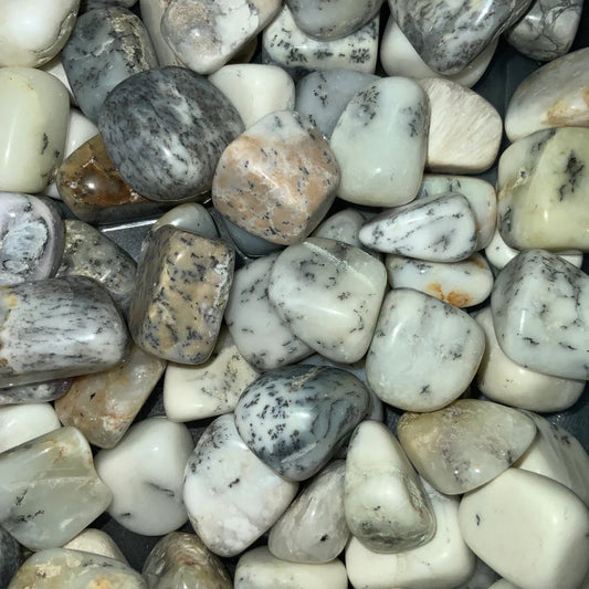 Natural Dendrite Pebbles 