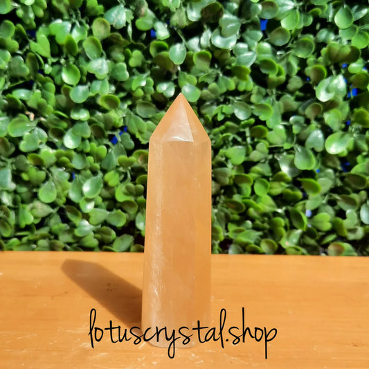 Honey Calcite Point-Lotus Crystal